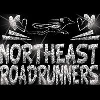 GLT88 SILVER GLITTER Thumbnail