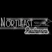 GLT101 SILVER GLITTER Thumbnail