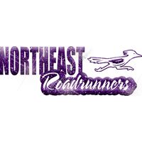 GLT1 PURPLE GLITTER Thumbnail